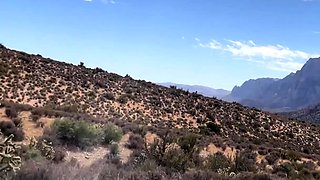 Let It Flow VII BIG toy edition Black and Ebony