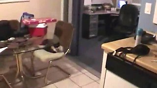 Horny Wives Getting Facials and Sharing Cocks at Swinger Parties!