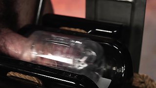 WoodxBound gives Phoenix and Rew a wild edging