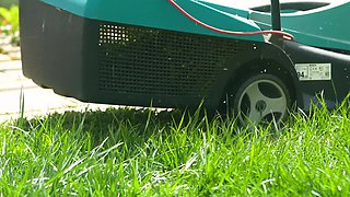 Amoral lesbians strapon thrilling sex video