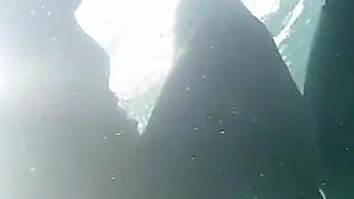 Diving in My Shiny Two-piece Wetsuit