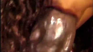 Black and white pussy fucking pussy licking orgy party