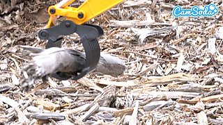 Hot Big-Titted Teenager Has an Intense Orgasm Fucking a Sex Machine