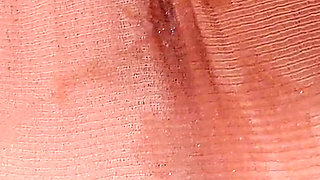 4503619