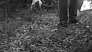 Pet Girl Obedience Training