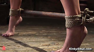 Luna Lovely Hogtied by The Pope