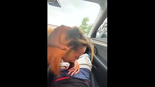 Amateur Blonde Blowjob Anal Fuck