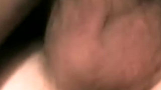 Jade Pussycat Classic Action