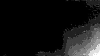 Black and Ebony BABES