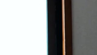 Great close up in japanese teen blowjob pov