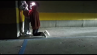 Young Wife Fucked Hard by a Fan in a Car Parking