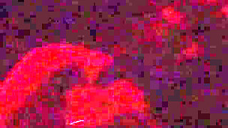Is This Yo Bitch #3