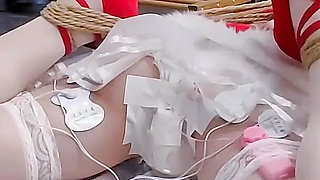 Wishing You a Merry Christmas