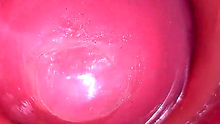 Inside a Camgirl Cervix POV Camera in Vagina with Big Dick Toy