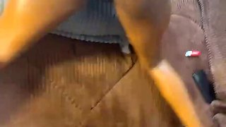 Ebony bitch getting boned from behind with a big black cock