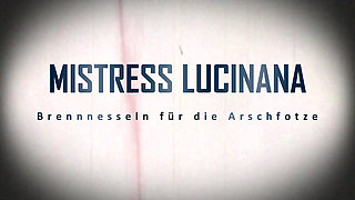 Surprise for the ass cunt