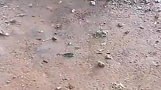 I Found This Sexy Sex Working Baby Whore From the Beach