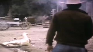 babe hardcore glamour hd porn pornstars