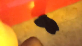 BBC guy seduced to indian smart Girl