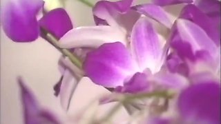 Selena Steele - Red Hait Lesbians Hairy Pussy Licking Sex Toys Penetrated In Pussy