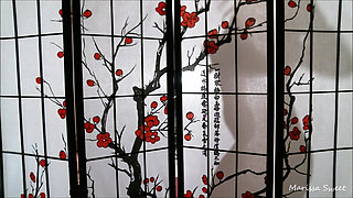 Silhouette Tease / Ball Domination