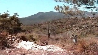 Big Omar's British Adventures Rump Humping Holidays (2001)