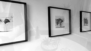 Cute amateur webcam teen girl toying pussy on webcam