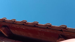 Sunny  video