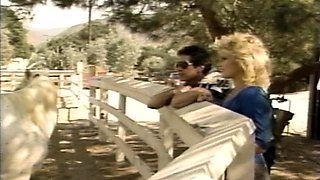Vintage pornstars bunny bleu ron jeremy blowjob threesome