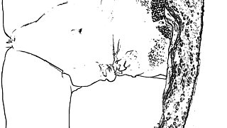 Big Boobs Big Ass Big Local Sex Boyfriend Girlfriend Sex Morning Sex Indian Girl Sex