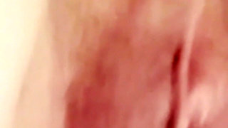 Pussy Delight - Colour Version