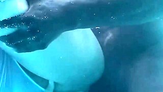 Willow Ryder Underwater Pool Sex In White Swimsuit With BBC