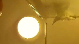 Exhibition on the Terrace