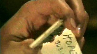 Whos Your Daddy Babe Hardcore Pornstar