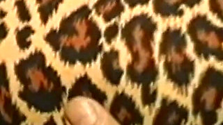 Surrounded by Pussies