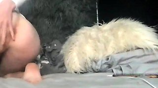 Hot busty masturbating shemale toys her ass