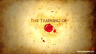 October Intake Three Doms Test Three Trainees