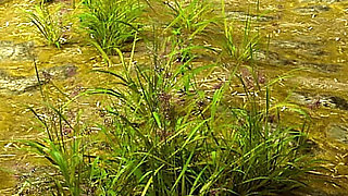 Love Season 3: Marcus & Alex Find Nude Lake Beauty