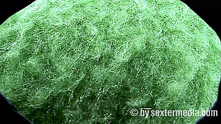 Show Me Your Hairy Cunt