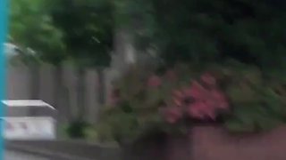 These Japanese vixens urinate outdoors past bustling road