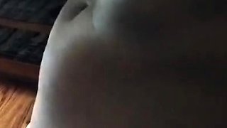 N2 The Gene Pool Black and Ebony