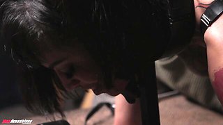 New Sensations featuring Will Pounder and Ravyn Alexa's ebony dirt