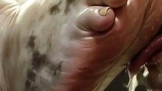 Giantess Massive SSBBW Foot Worship - Male Slave Licking Her Big Feet