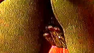 Vintage pornstar deidre holland blowjob hardcore sex movie