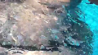 A Little Pool Tease for You