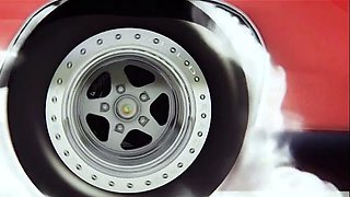 Big Black Cocks Masturbating Together