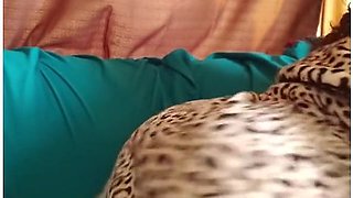 Wild Latina seduces and dominates