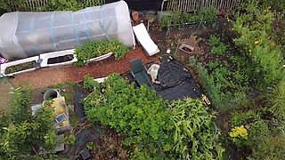 Voyeur with Drone Watches Me in the Garden Playing with Myself
