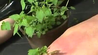 A Hardcore BDSM session