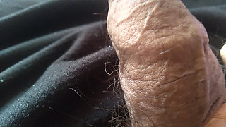 A hard penis wants you to give it a blowjob.